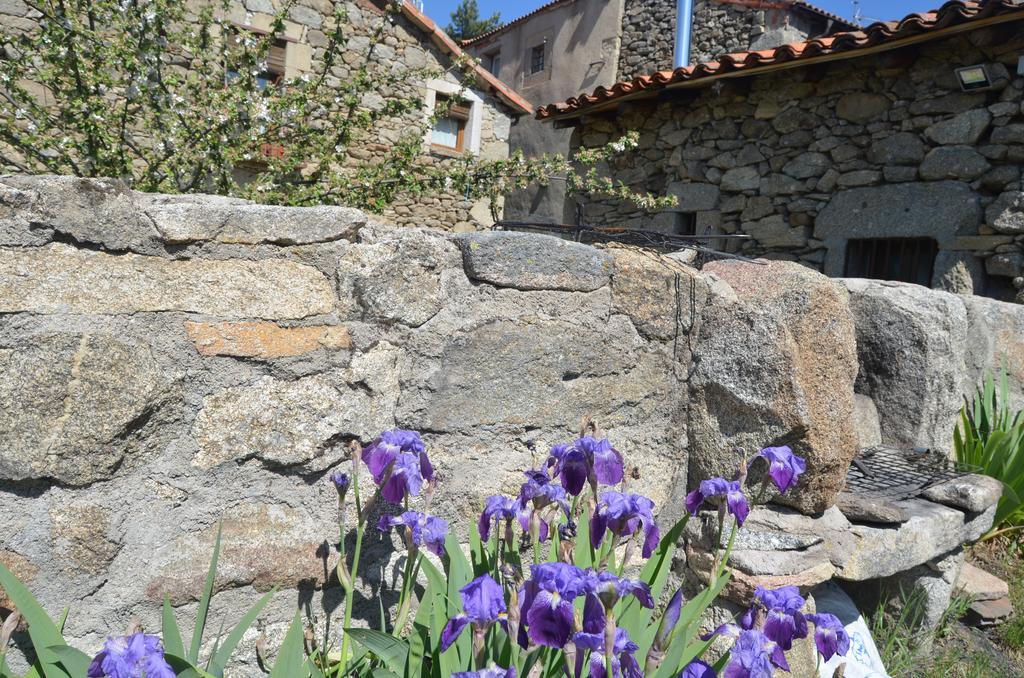 Casa Rural Almanzor Navarredonda de Gredos Exteriér fotografie